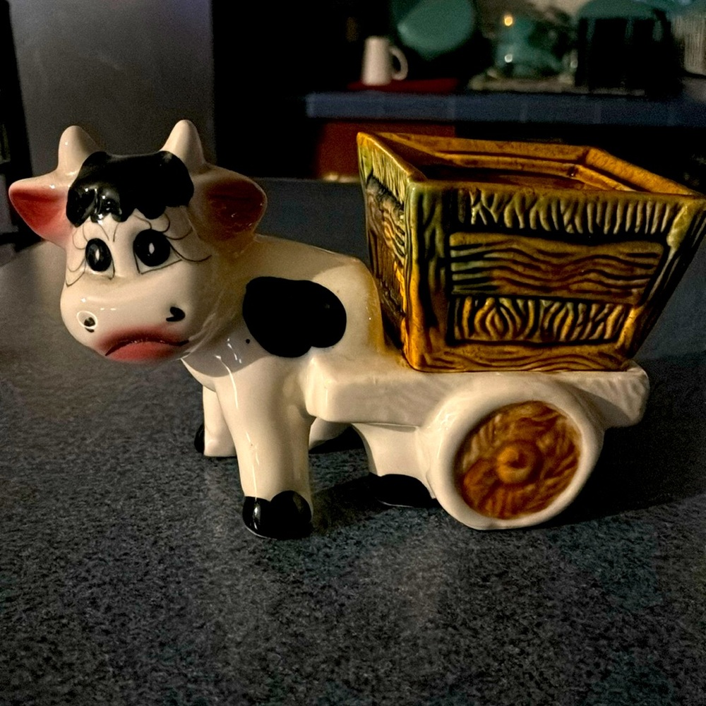 Sad cow with eyelashes